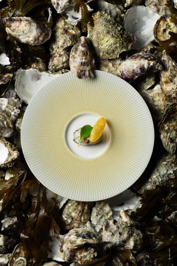 Hotel Le Parc - La Table De Franck Putelat 卡尔卡松 外观 照片